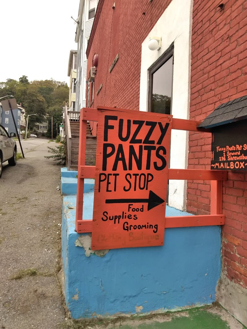 The hand-painted orange Fuzzy Pants Pet Stop arrow sign on the brick and blue-painted shopfront